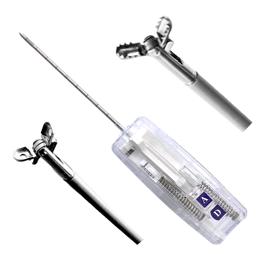 Biopsy Methods in Urology Using Flexible Biopsy Forceps and Needles