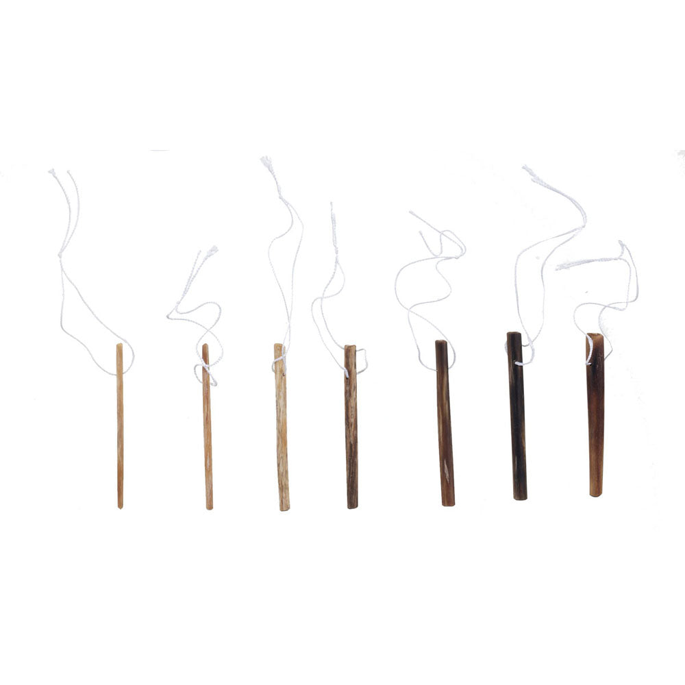 Dilateria - Laminaria Cervical Dilator With buttons MedGyn