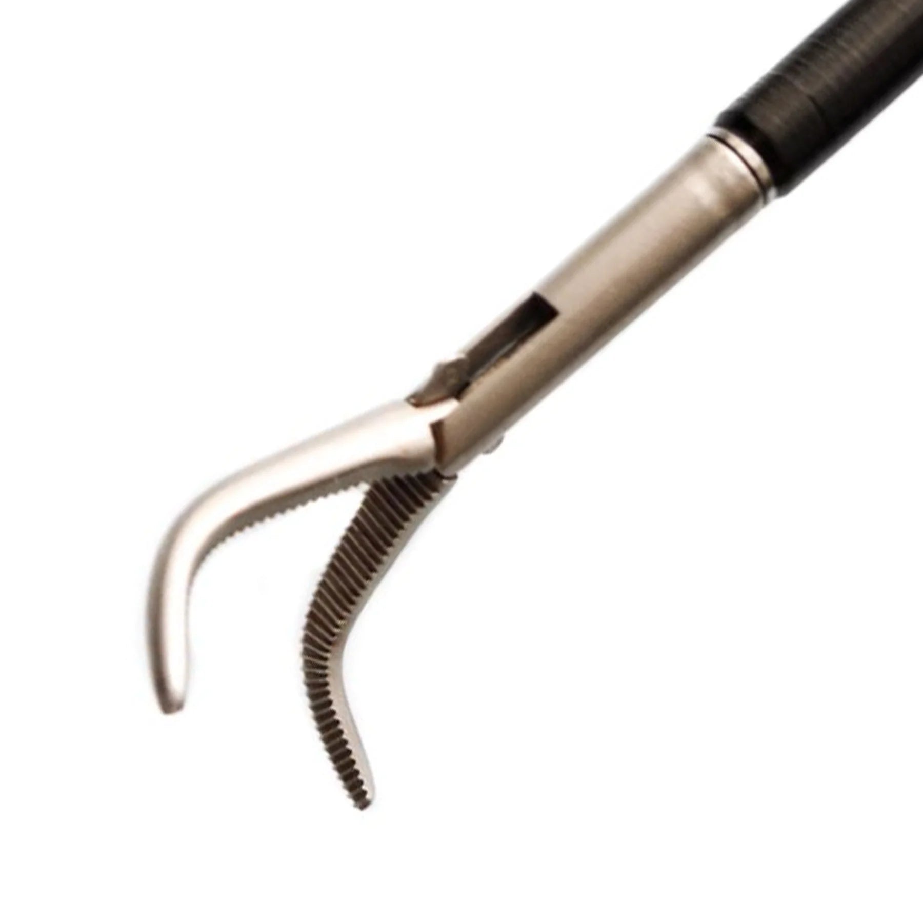 Mixter Dissecting Forceps, 10mm x 33cm | 116703 AED