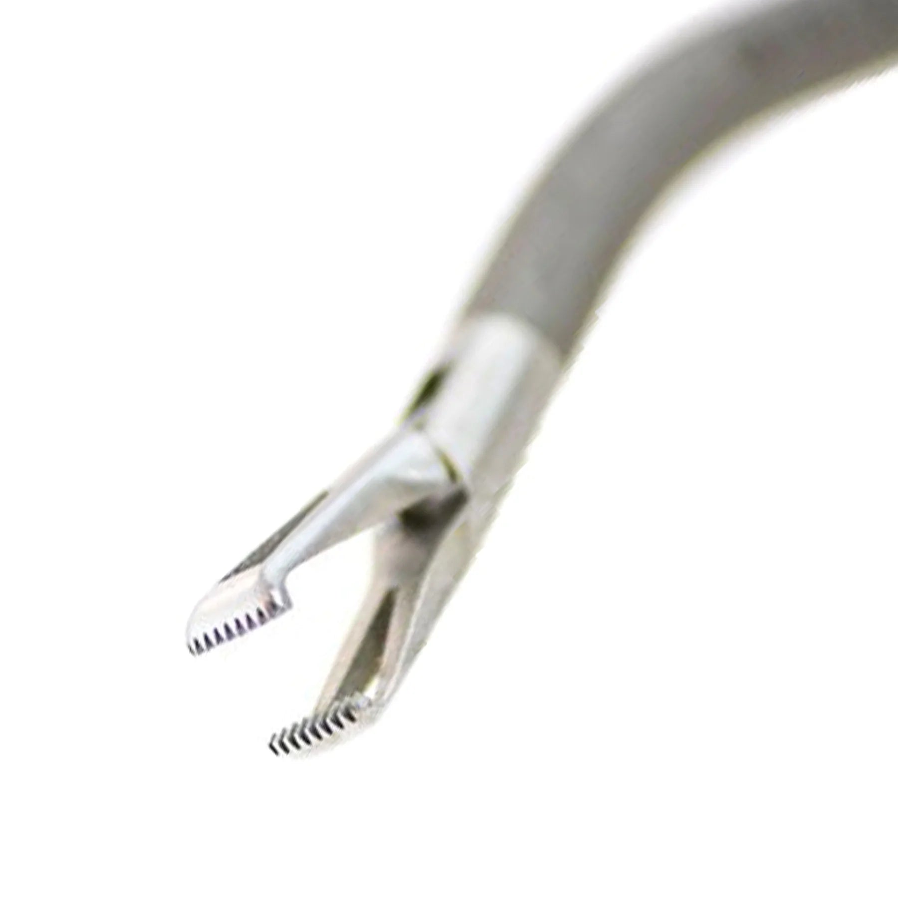 Storz Angled Fenestrated Allis Forceps S/A, Spring Handle | 28176CC Storz