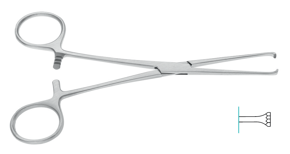 Circumcision Instruments Set Minerva Health Solutions Inc.