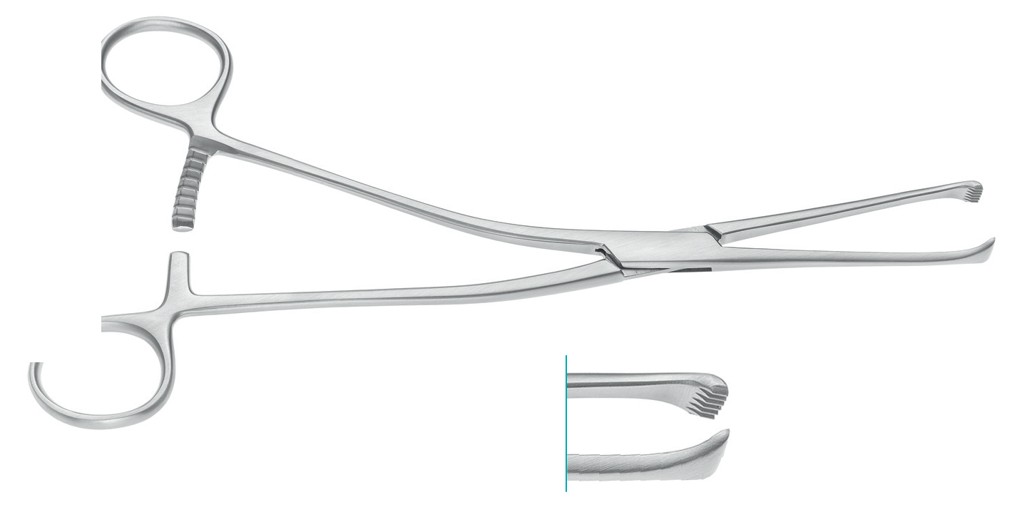 Millin Forceps For The Anterior Lobe