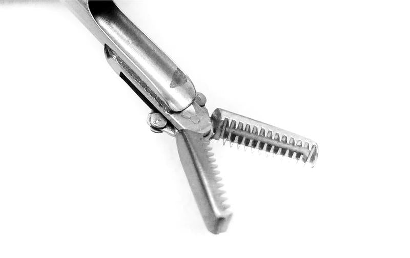 Storz Optical Pediatric Alligator Forceps | 10377H Storz