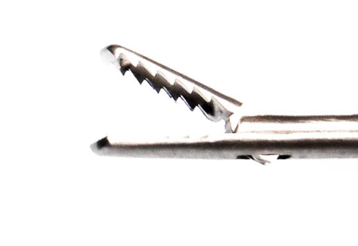 27023FE Flexible Grasping Forcep, 5Fr X 73cm, S/A