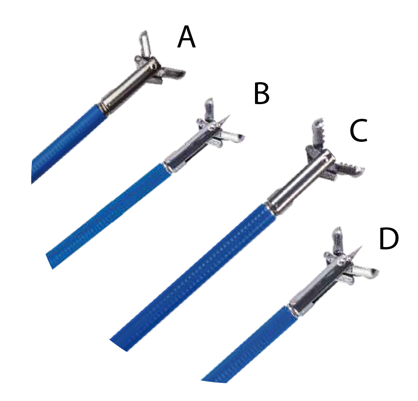 Single-Use Biopsy Forceps - Gastroenterology Minerva Health Solutions Inc.