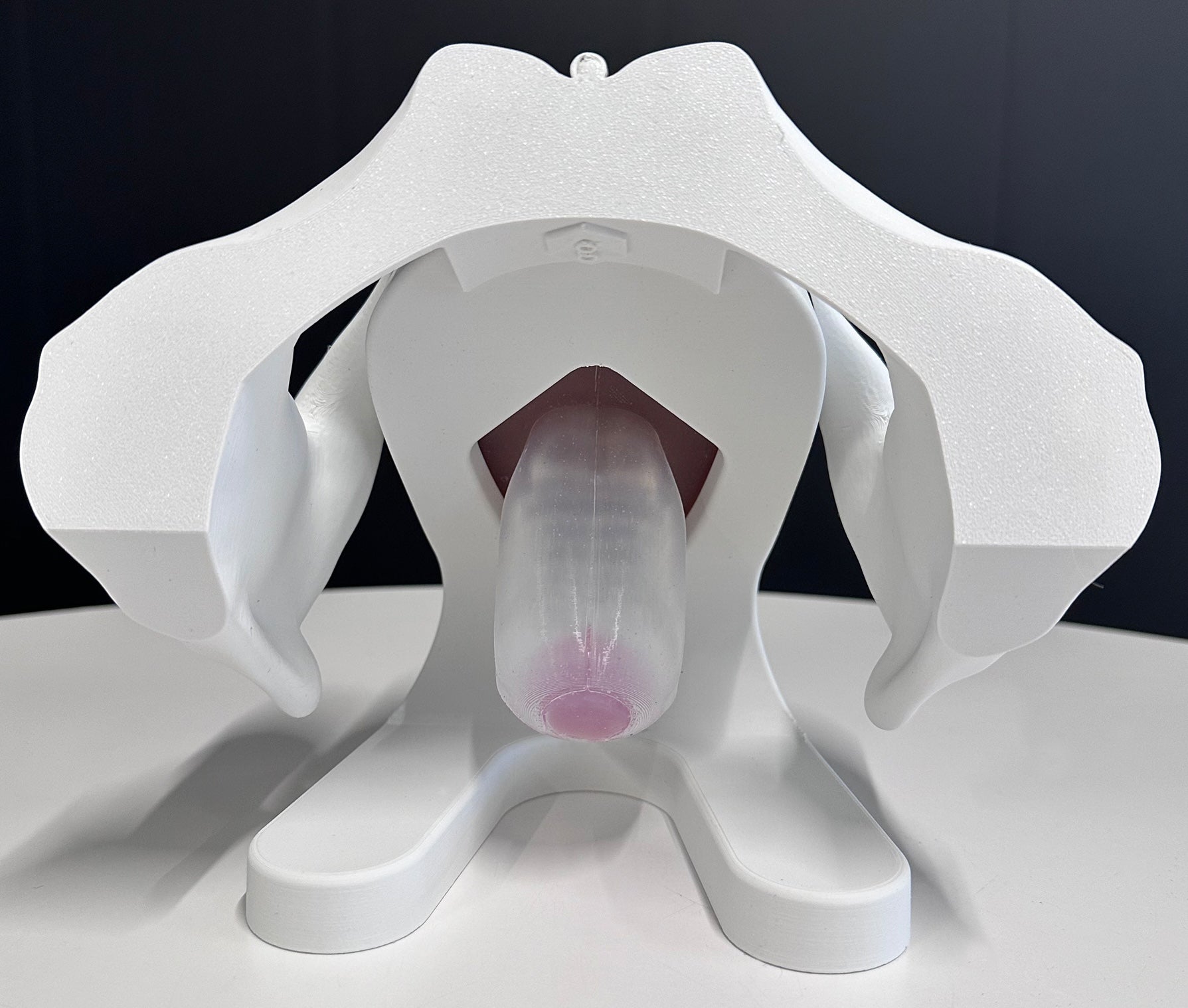 IRIS - Pelvic Health Educational Model Granville Biomedical Inc.