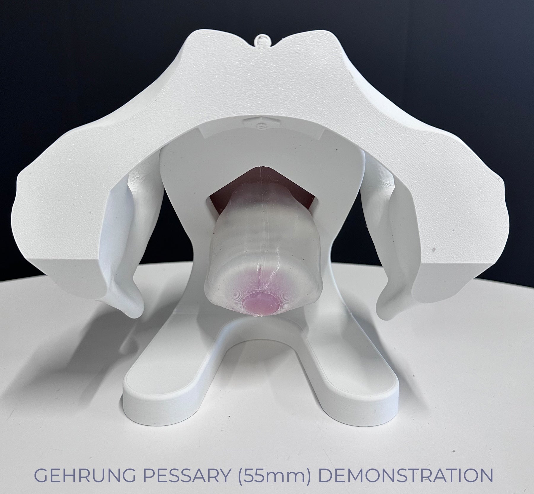 IRIS - Pelvic Health Educational Model Granville Biomedical Inc.