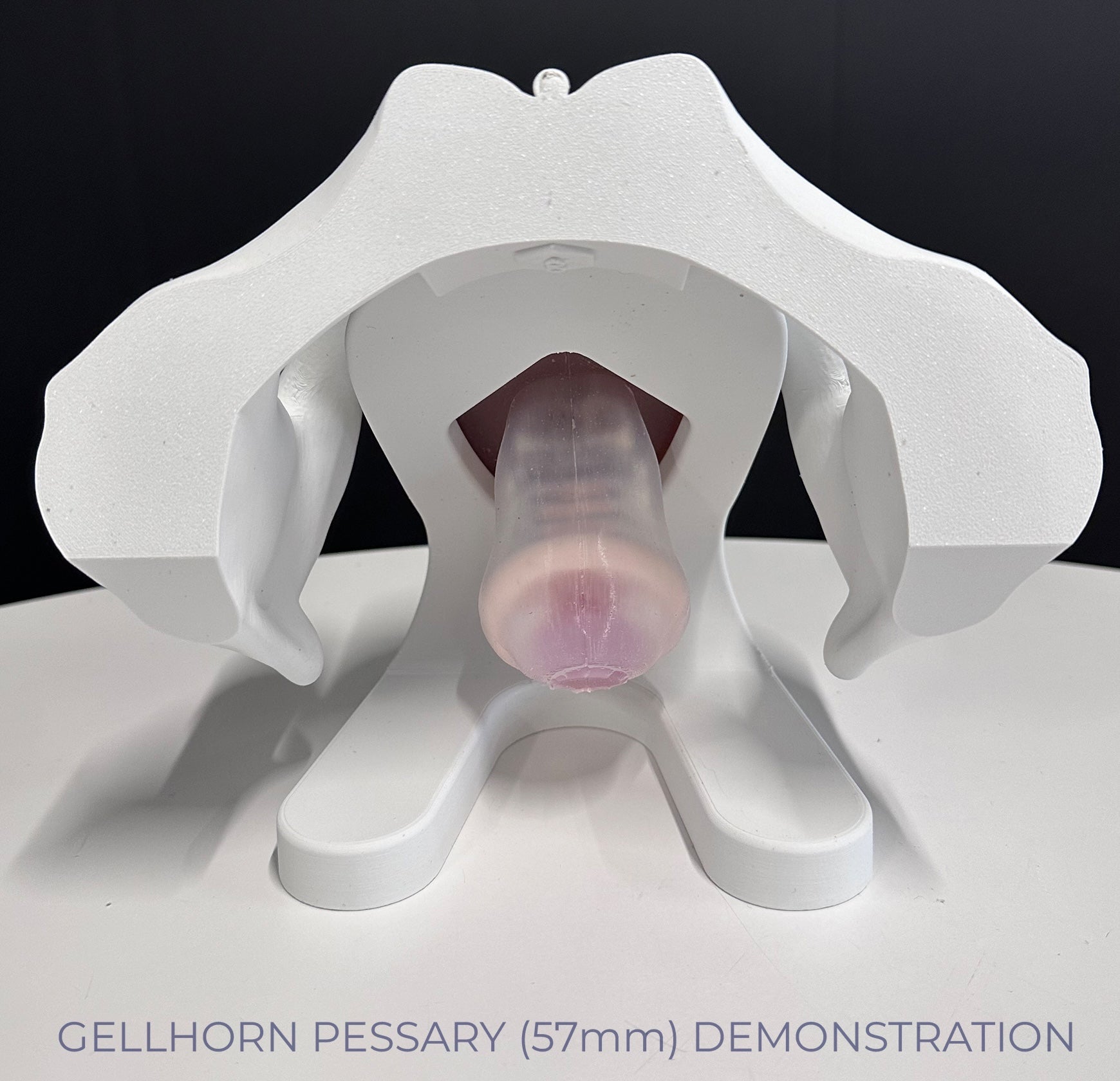 IRIS - Pelvic Health Educational Model Granville Biomedical Inc.