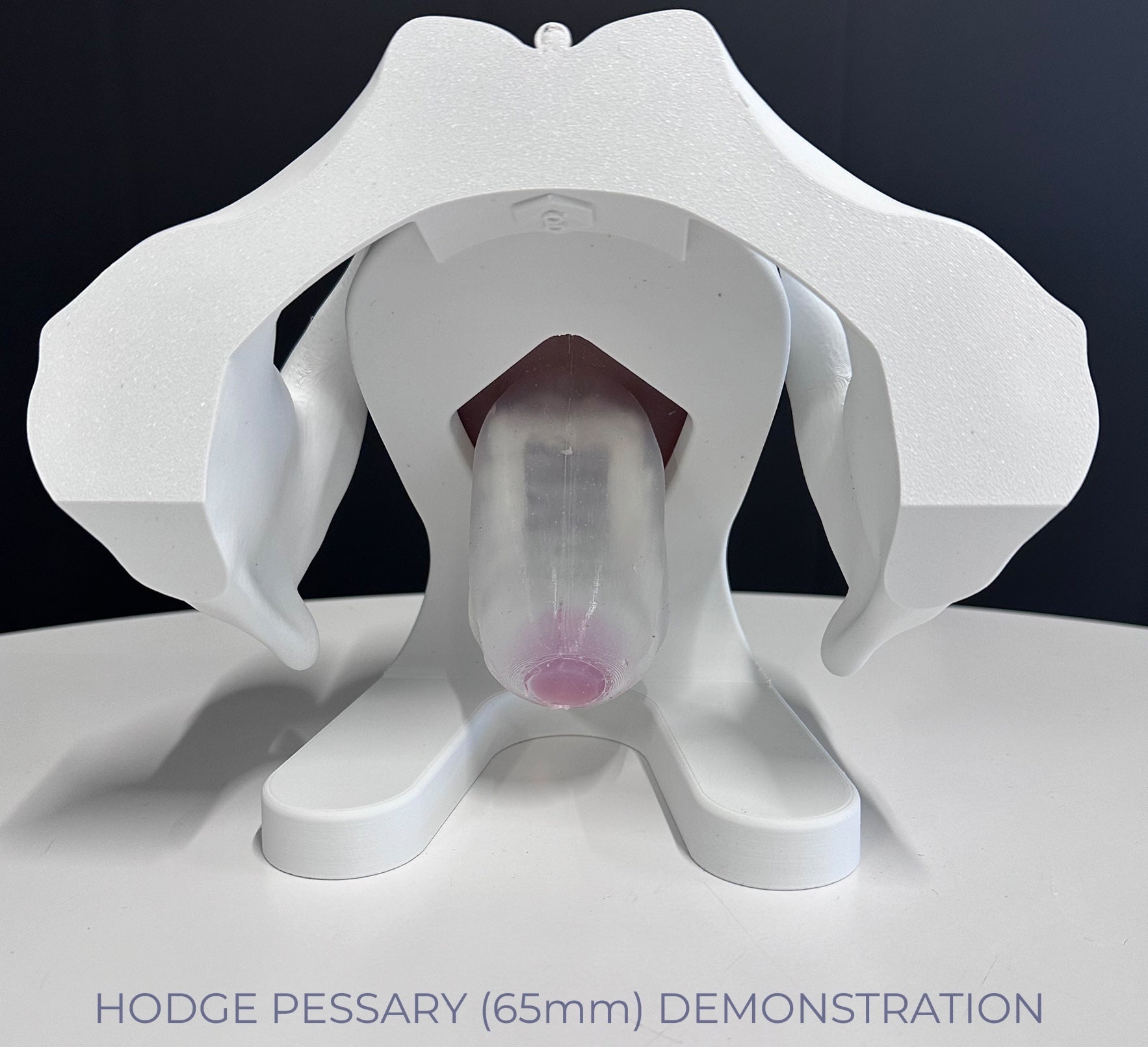 IRIS - Pelvic Health Educational Model Granville Biomedical Inc.