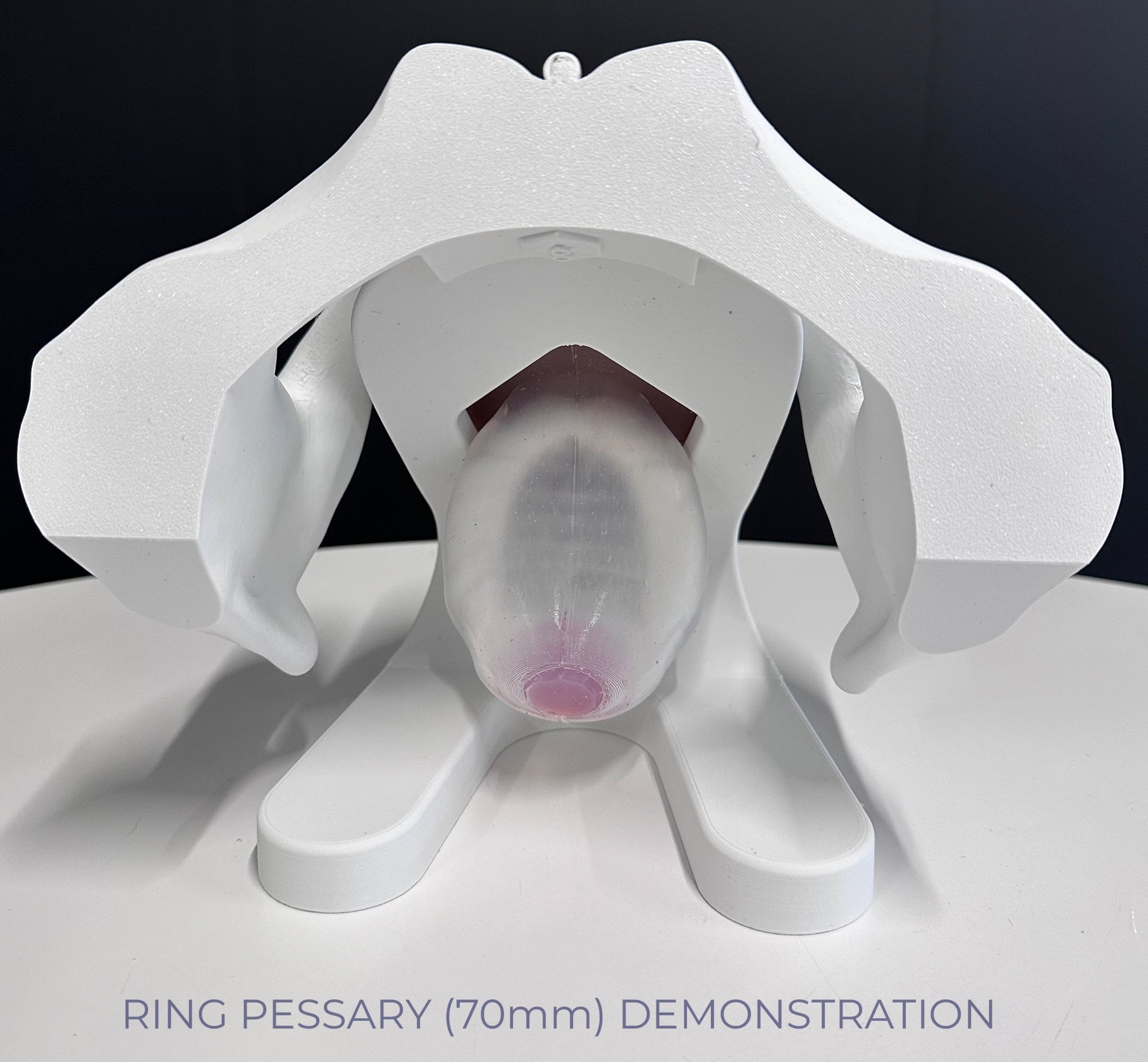IRIS - Pelvic Health Educational Model Granville Biomedical Inc.