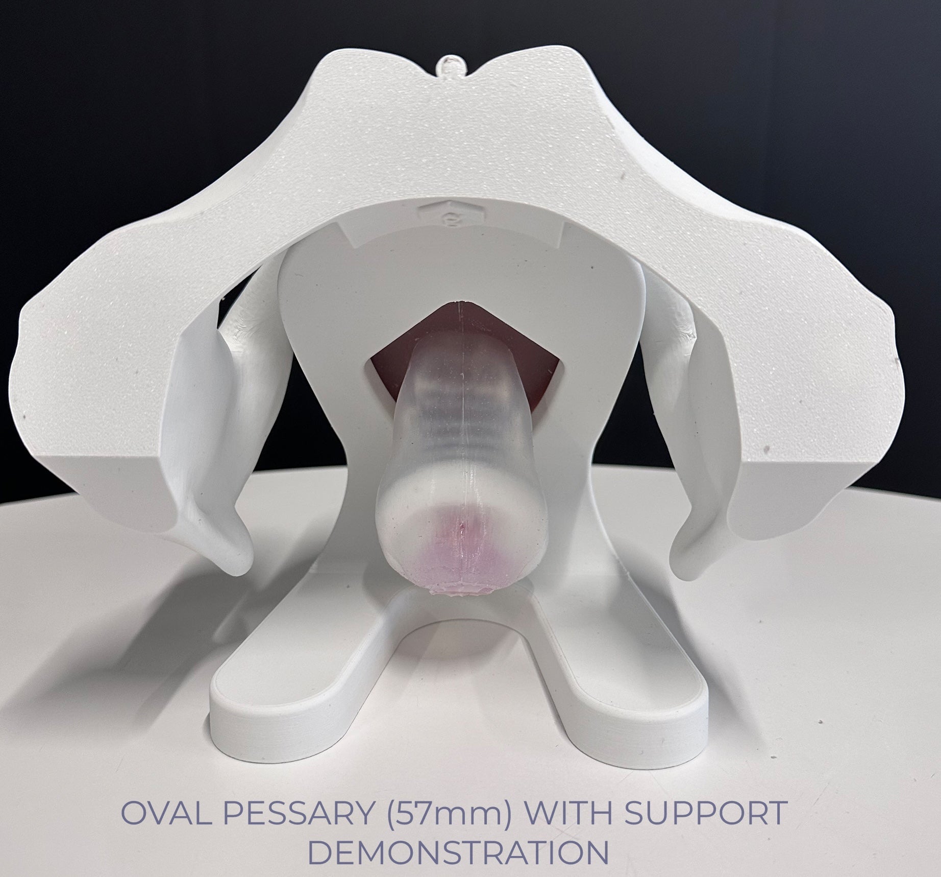 IRIS - Pelvic Health Educational Model Granville Biomedical Inc.