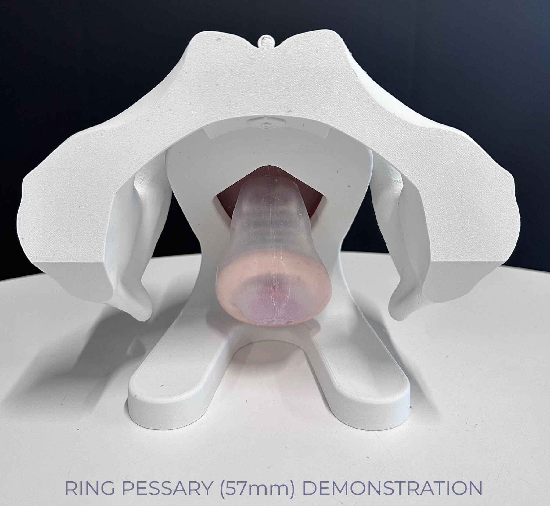 IRIS - Pelvic Health Educational Model Granville Biomedical Inc.