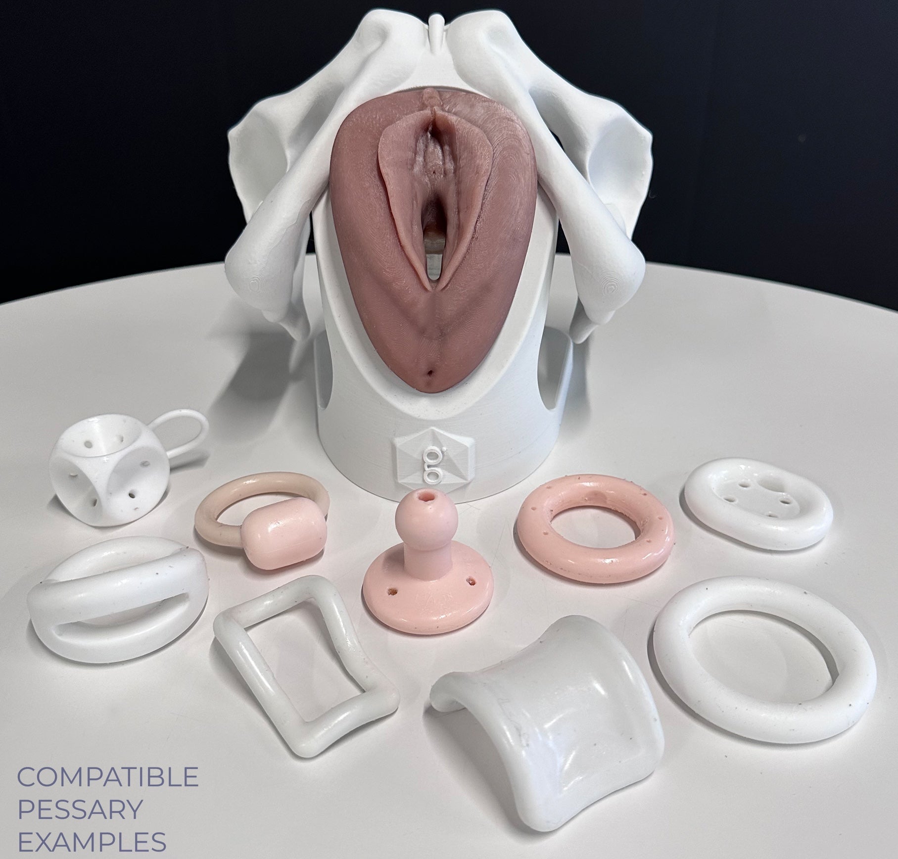 IRIS - Pelvic Health Educational Model Granville Biomedical Inc.