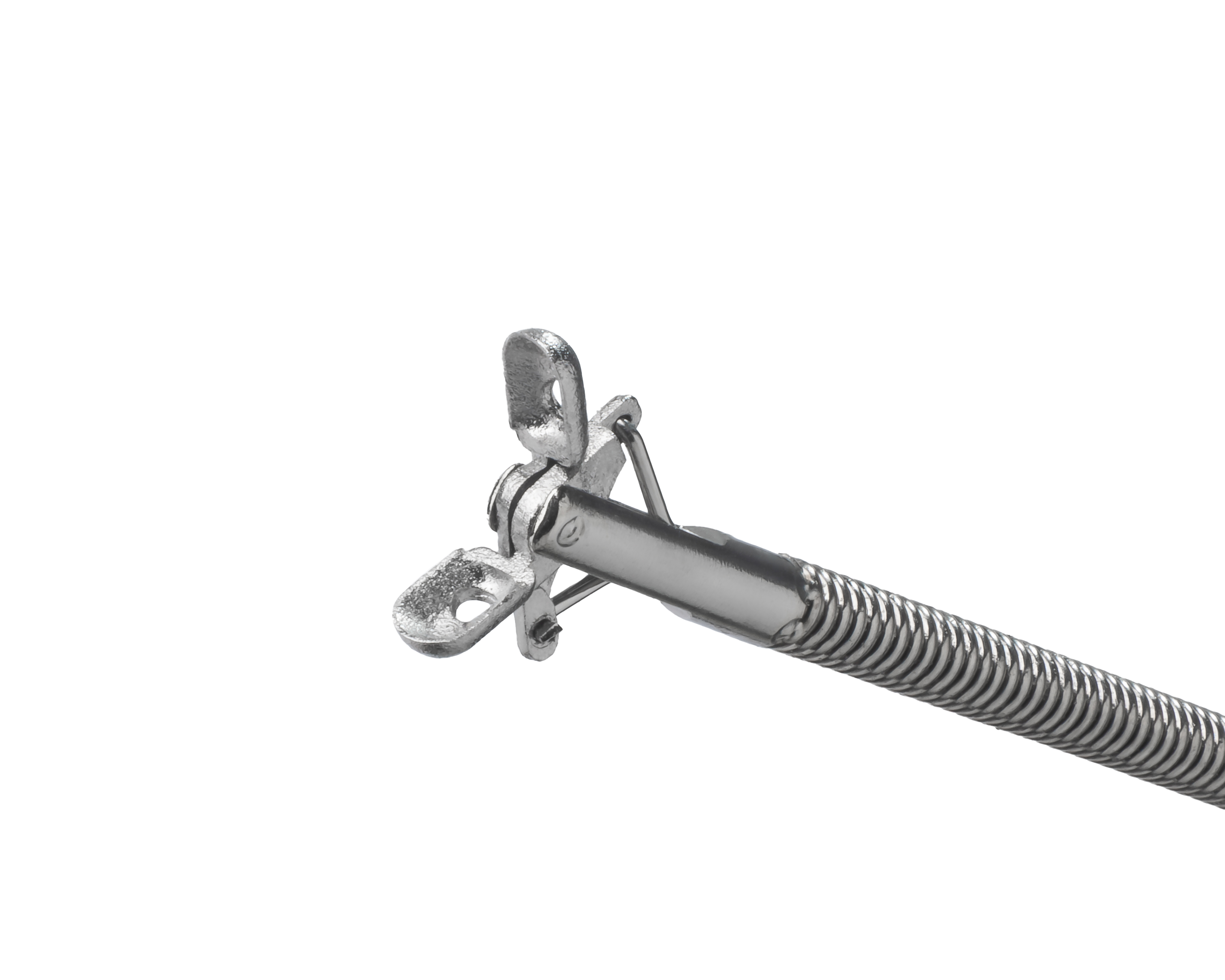 AthenaGrasp™ Flexible Biopsy Forceps for Ureter & Kidney Minerva Health Solutions Inc.