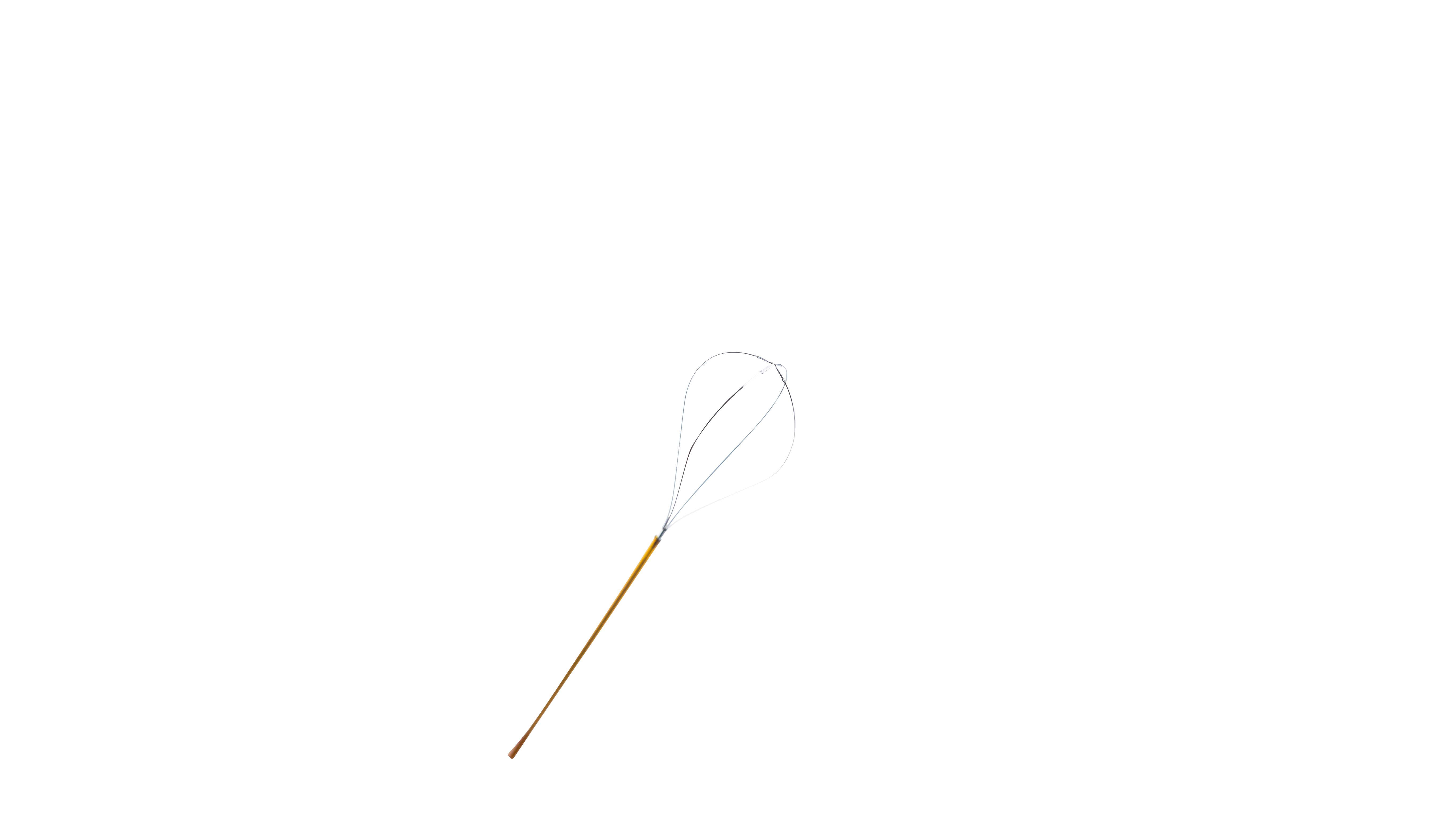 MinBasket™ Nitinol Basket – 4‑Wire Tipless Minerva Health Solutions Inc.