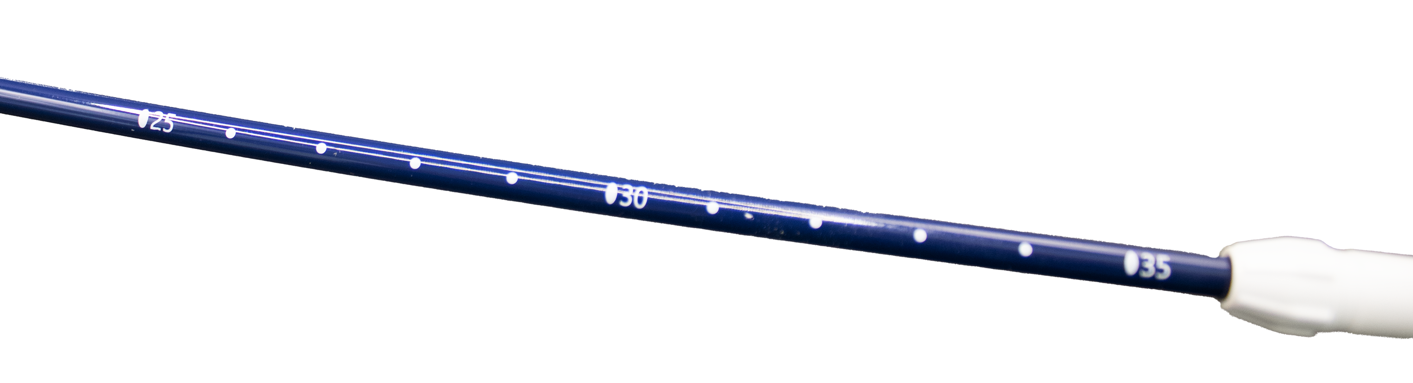 Minerva Ureteral Access Sheath Minerva Health Solutions Inc.