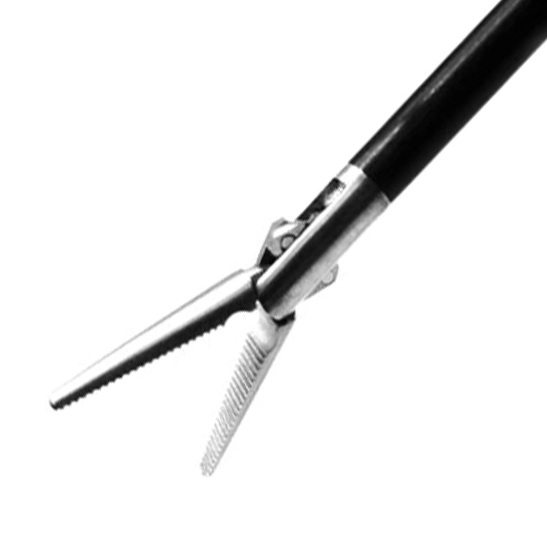 Precise Straight Dissecting Forcep | P1413 AED