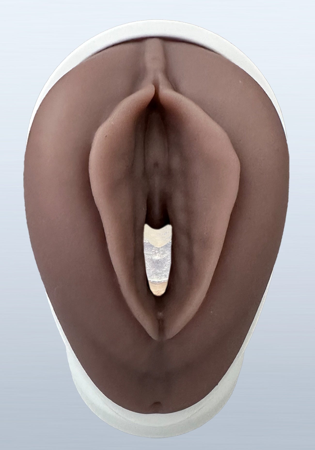 VENUS - Pelvic Health Educational Model Granville Biomedical Inc.