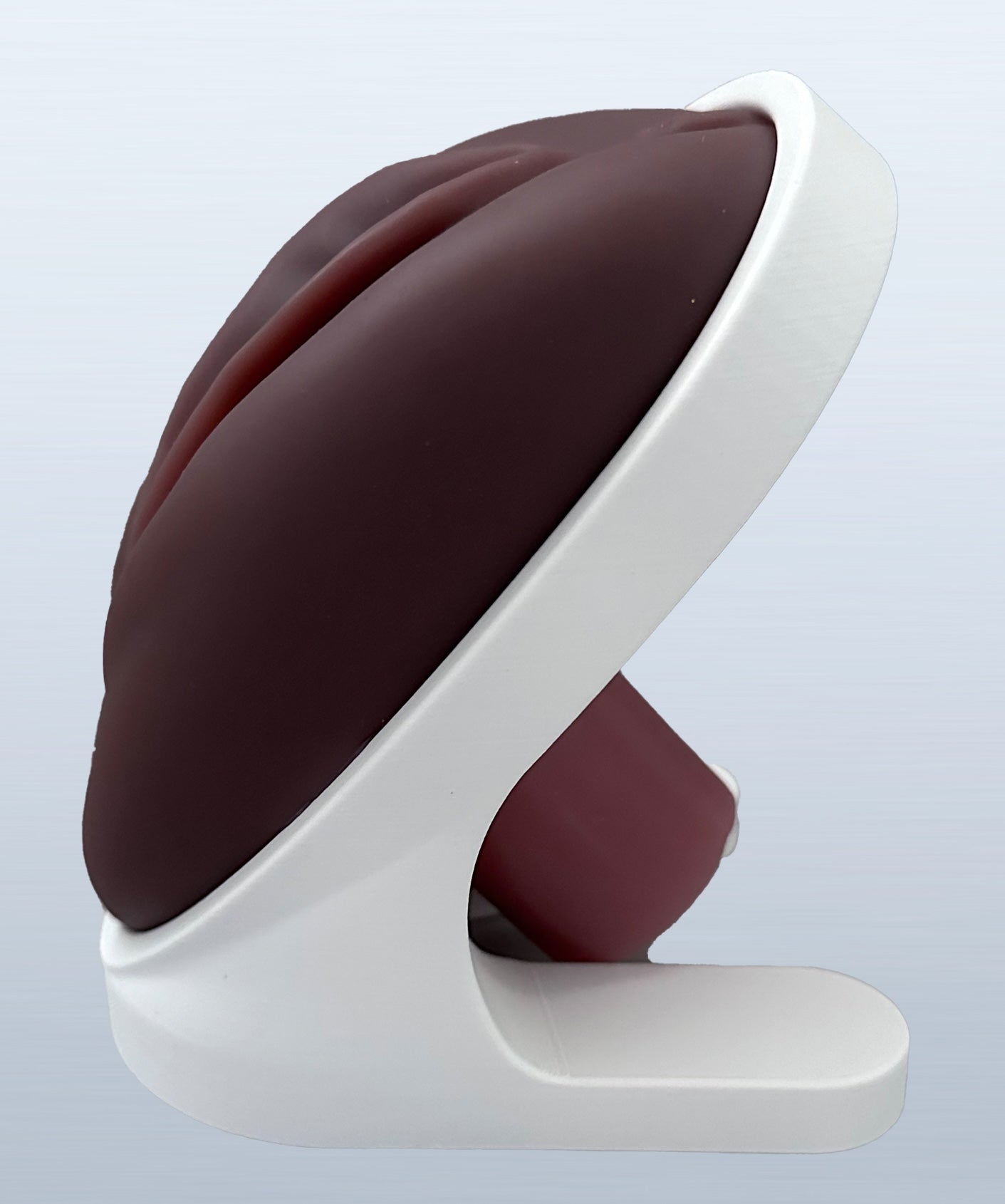 VENUS - Pelvic Health Educational Model Granville Biomedical Inc.