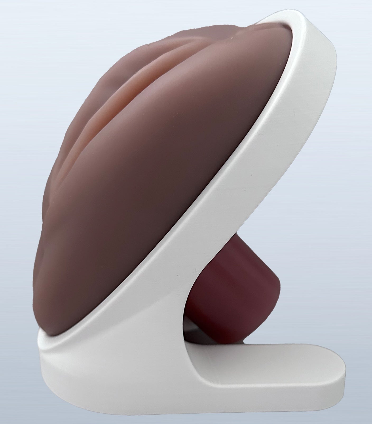 VENUS - Pelvic Health Educational Model Granville Biomedical Inc.