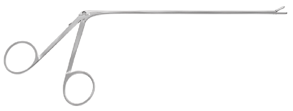 Decker Rongeurs Minerva Health Solutions Inc.