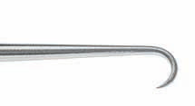 O'Connor Nerve Hook Minerva Health Solutions Inc.