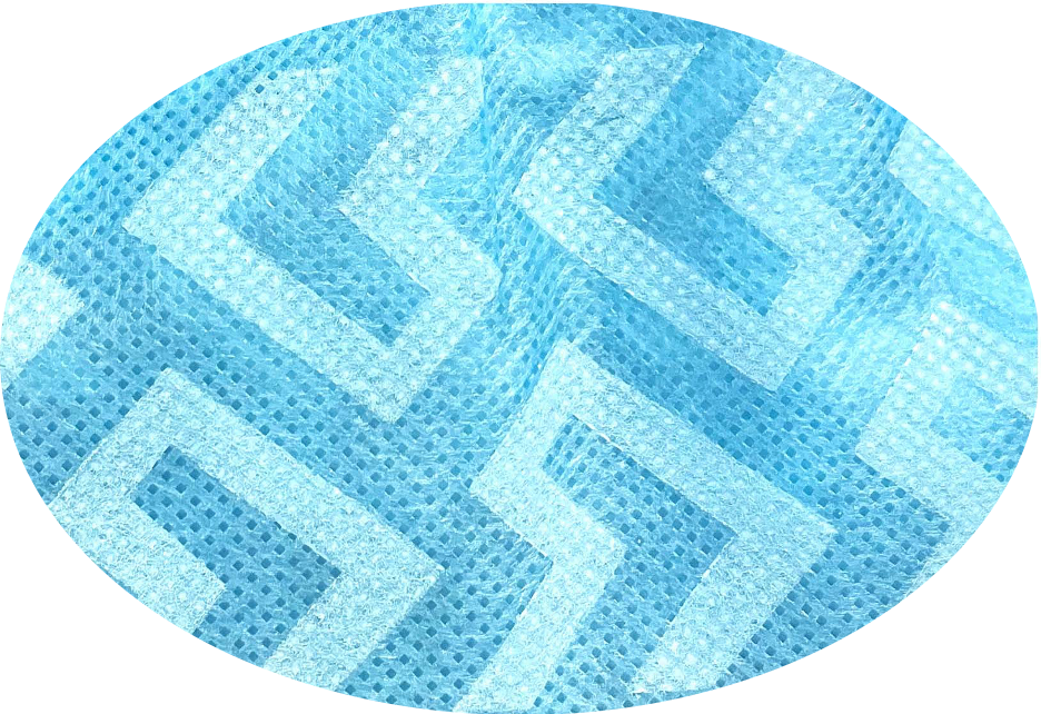 Disposable Non-Woven Shoe Covers Minerva Health Solutions Inc.