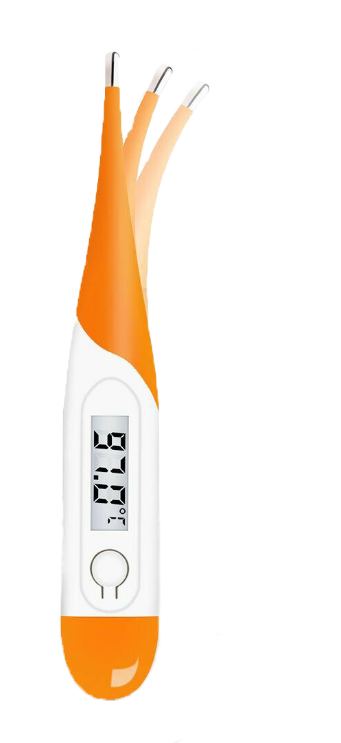 Oral Digital Thermometers