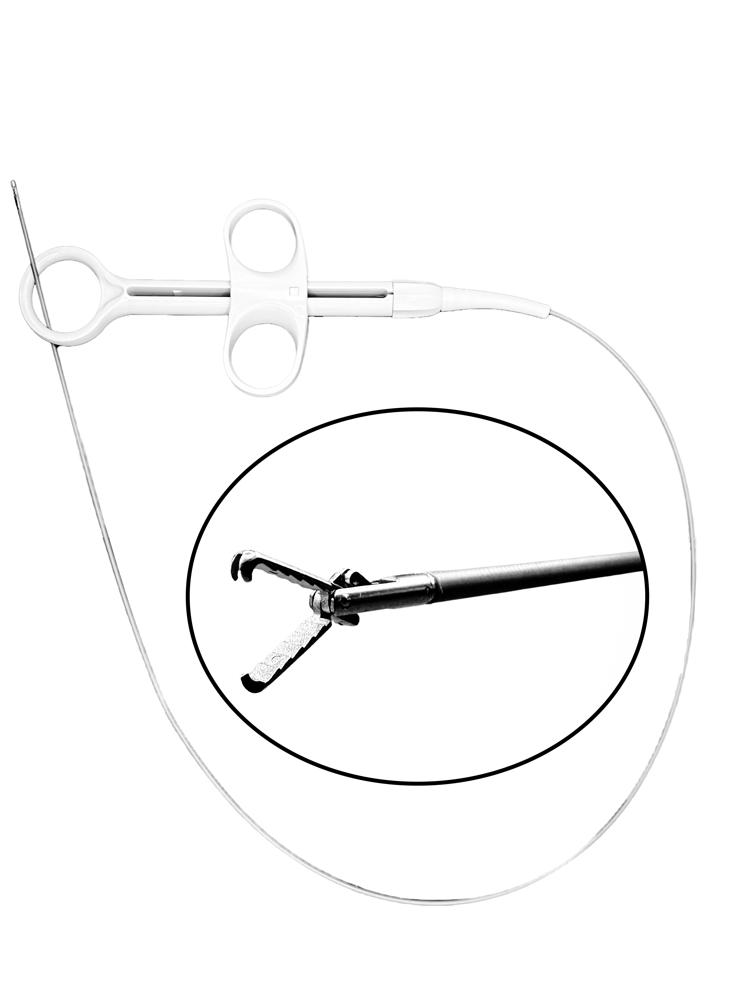 Everything You Need to Know About Stent Removal Forceps: MinervaGrasp and Clinical Insights