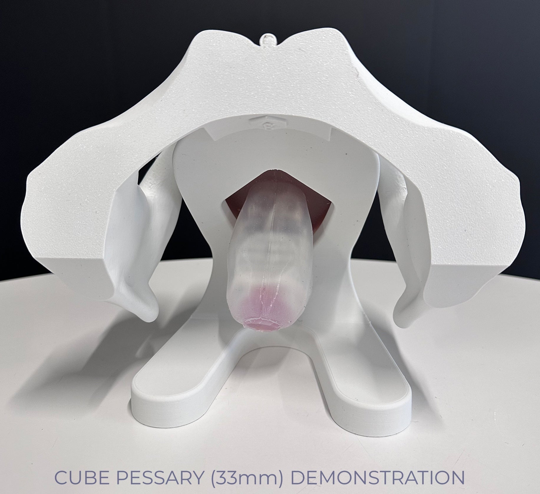 IRIS - Pelvic Health Educational Model Granville Biomedical Inc.