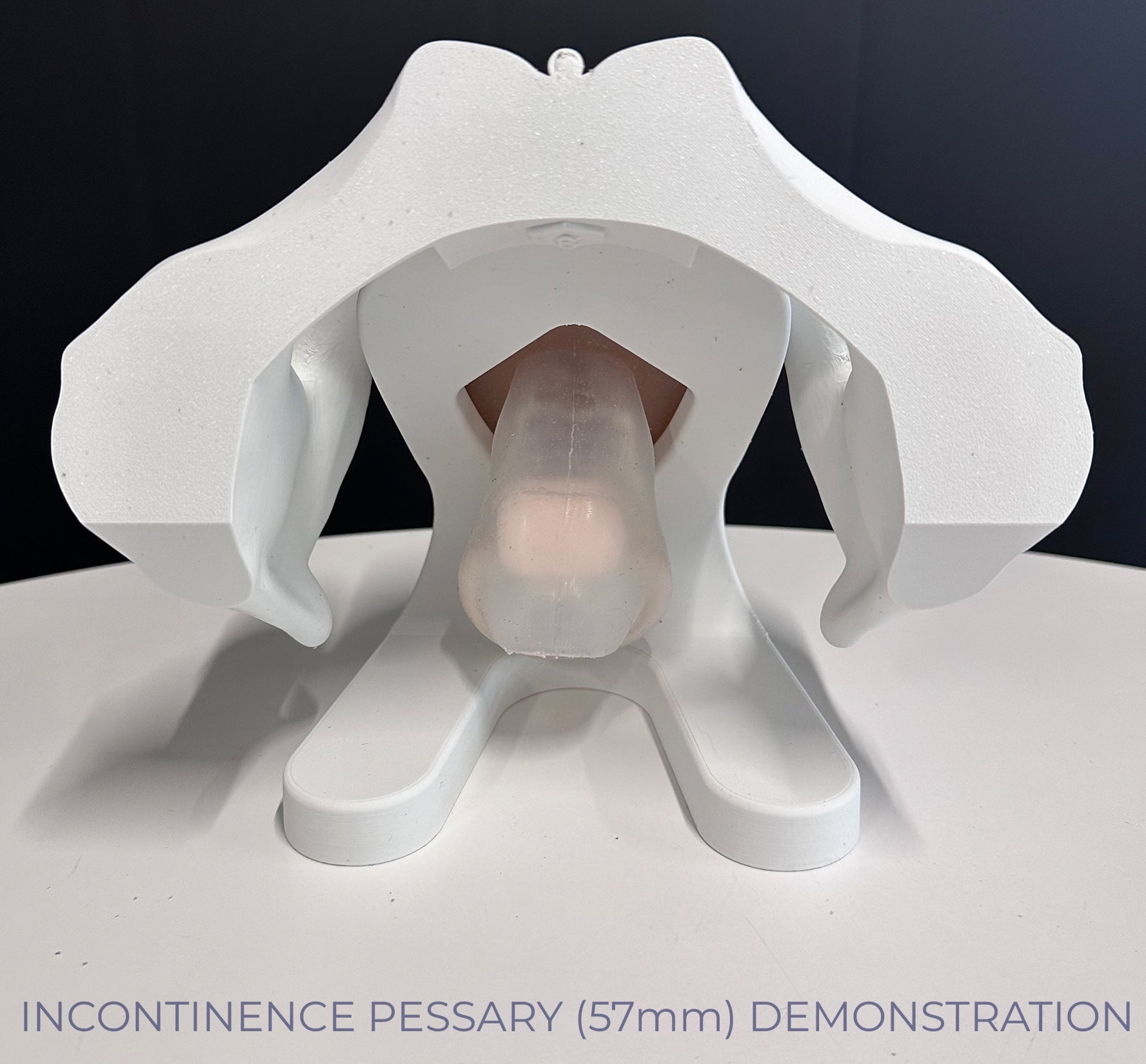 IRIS - Pelvic Health Educational Model Granville Biomedical Inc.