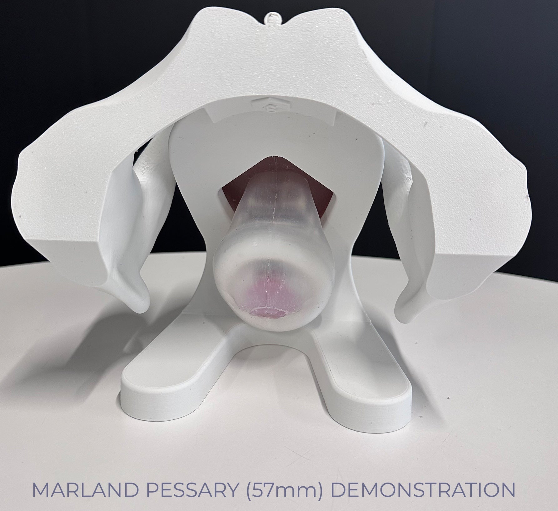 IRIS - Pelvic Health Educational Model Granville Biomedical Inc.